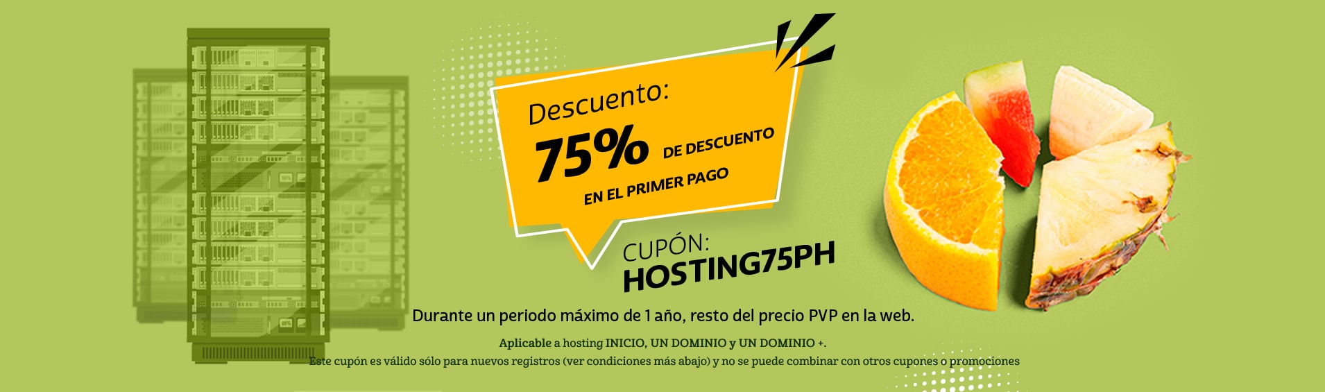 cupon profesional hosting descuento 75%