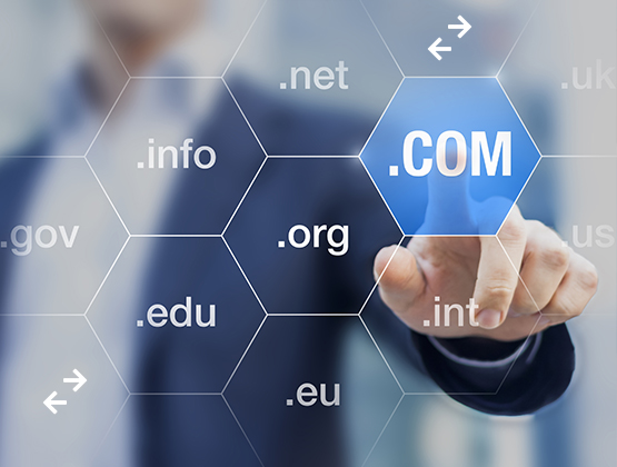 transfer your domain