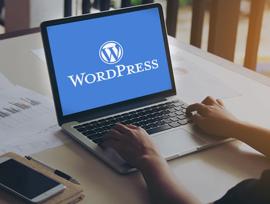 Securiza tu Wordpress con toolkit