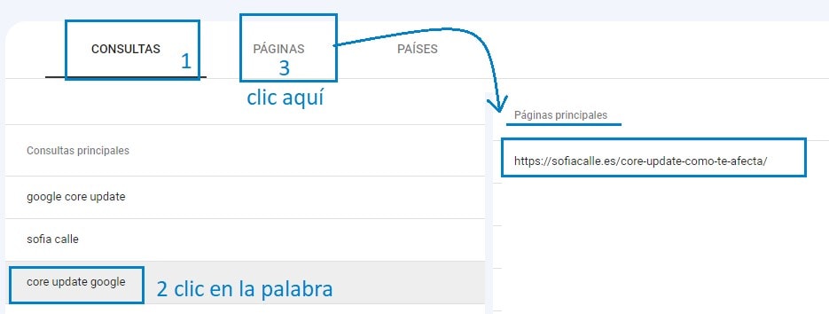 páginas posicionadas para una consulta